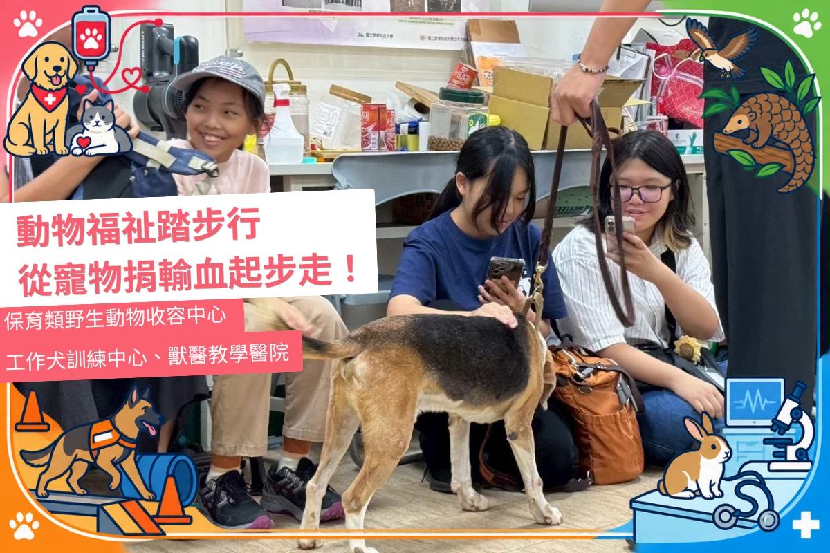 動物福祉踏步行 — 從寵物捐輸血起步走！