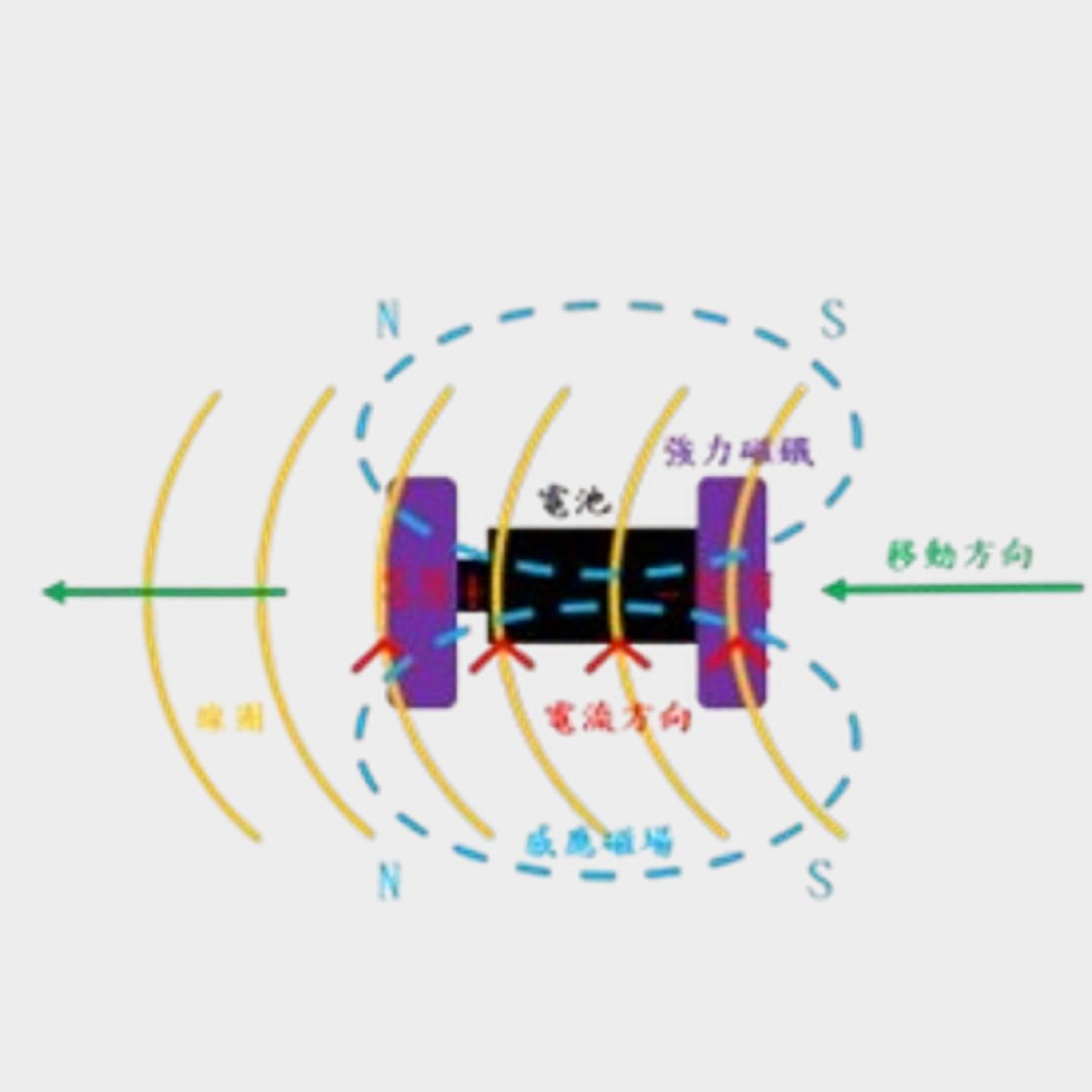 科學市集