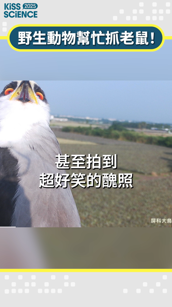 特色場域